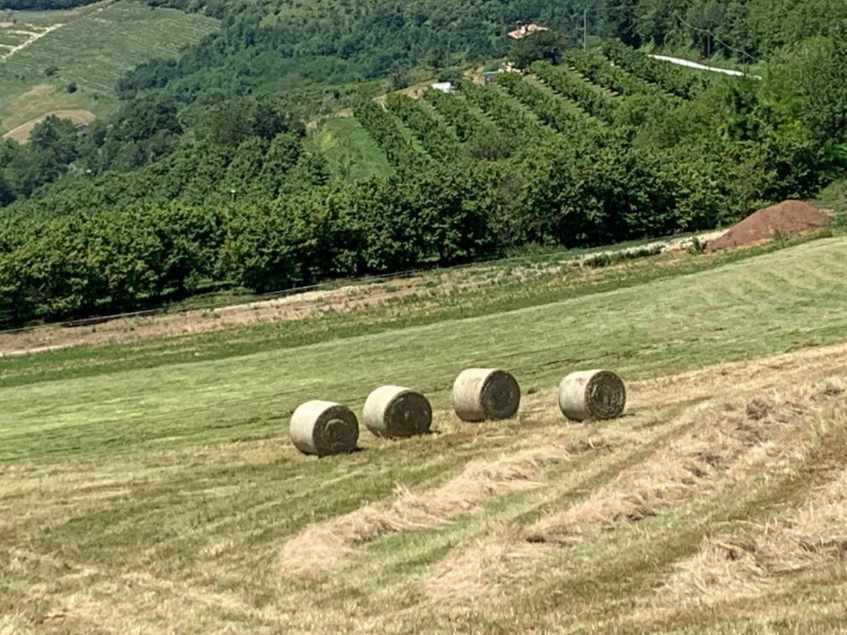 Bed and Breakfast La Luce Delle Colline Serravalle delle Langhe Екстер'єр фото